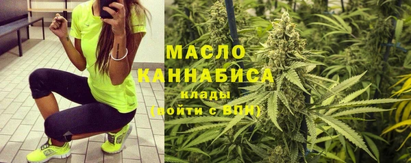 мдпв Протвино
