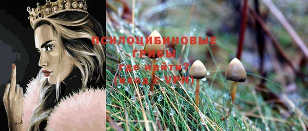 стафф Бронницы