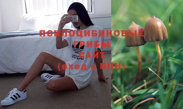 Альфа ПВП Пролетарск