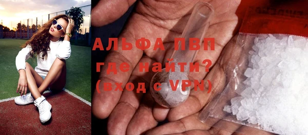 индика Верея