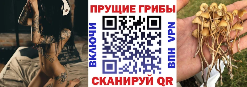 blacksprut сайт  Грязи  Галлюциногенные грибы GOLDEN TEACHER 